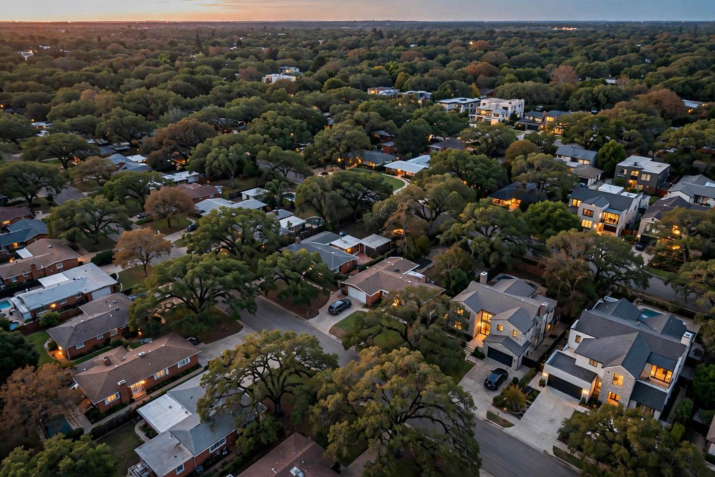 Rooftops and mature trees across an established American neighbourhood seen from above in evening light